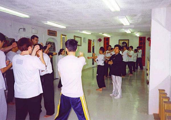 Practising Wing Chun